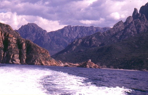 Le Golfe de Porto avec la tour gnoise et la plage.