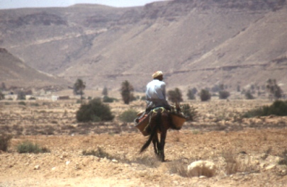 Le paysan sur son cheval.